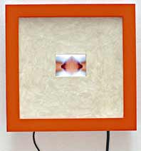 Knospenspringen, Hybrid-Video-Objekt von Claudia Liekam, 2003